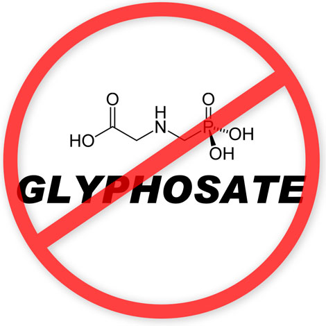 http://hrvatski-fokus.hr/wp-content/uploads/2015/06/Independent_Scientists_Manifesto_on_Glyphosate_470.jpg