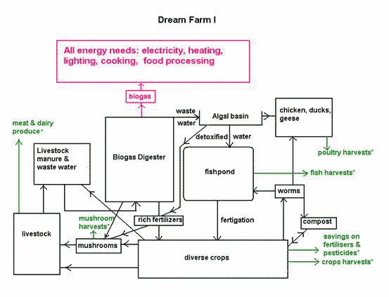 Figure 1. Dream Farm I according to George Chan