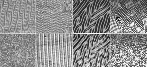 Description: liquid crystal patterns