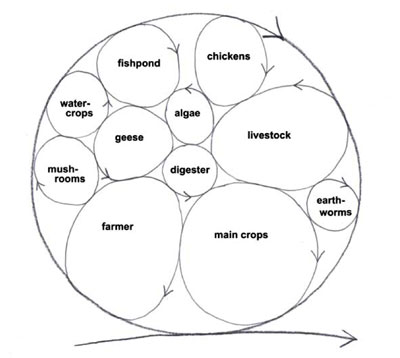 Figure 10. Sustainable
    system develops and grows by incorporating more life cycles within the system,
    the wastes from one cycle is resource for another.