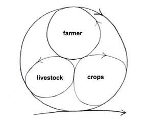 Figure
    9. The minimum integrated sustainable farm