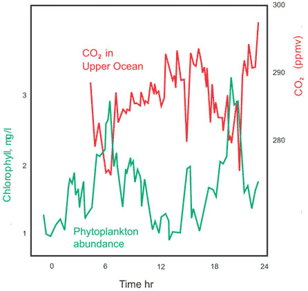 Atmospheric carbon dioxide mirrors plankton abundance 	 over much shorter timescale of hours in the Atlantic