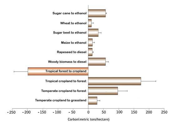 Figure 1. Carbon saved on different options