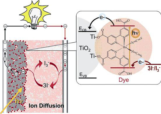 A dye-sensitized solar cell