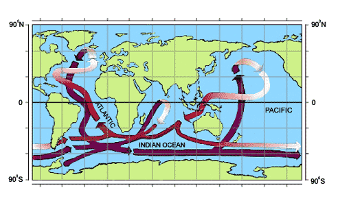 The thermohaline circulation system